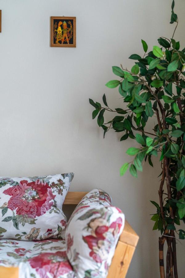 Miedzynarodowe Schronisko Mlodziezowe Ptsm Szarotka Hostel Zakopane Luaran gambar